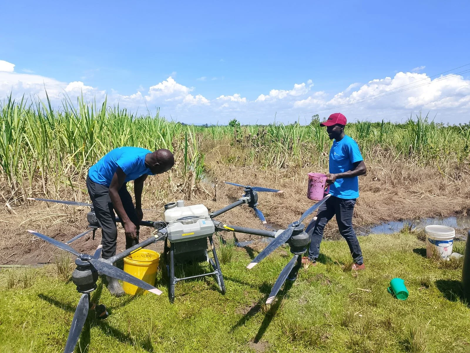 🔬 THE PROTEIN CLINIC | CASE 09. Stop the Noise: Farm Hygiene, Biosecurity &amp; Smart Application
