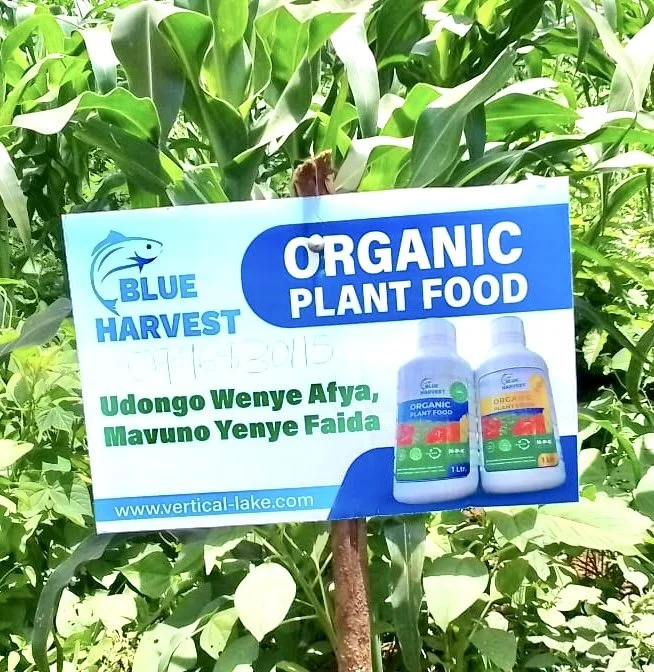 Fish waste organic plant food emerges as a solution to food insecurity.