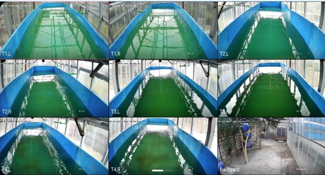 we monitor each tank with 2 cameras 24/7