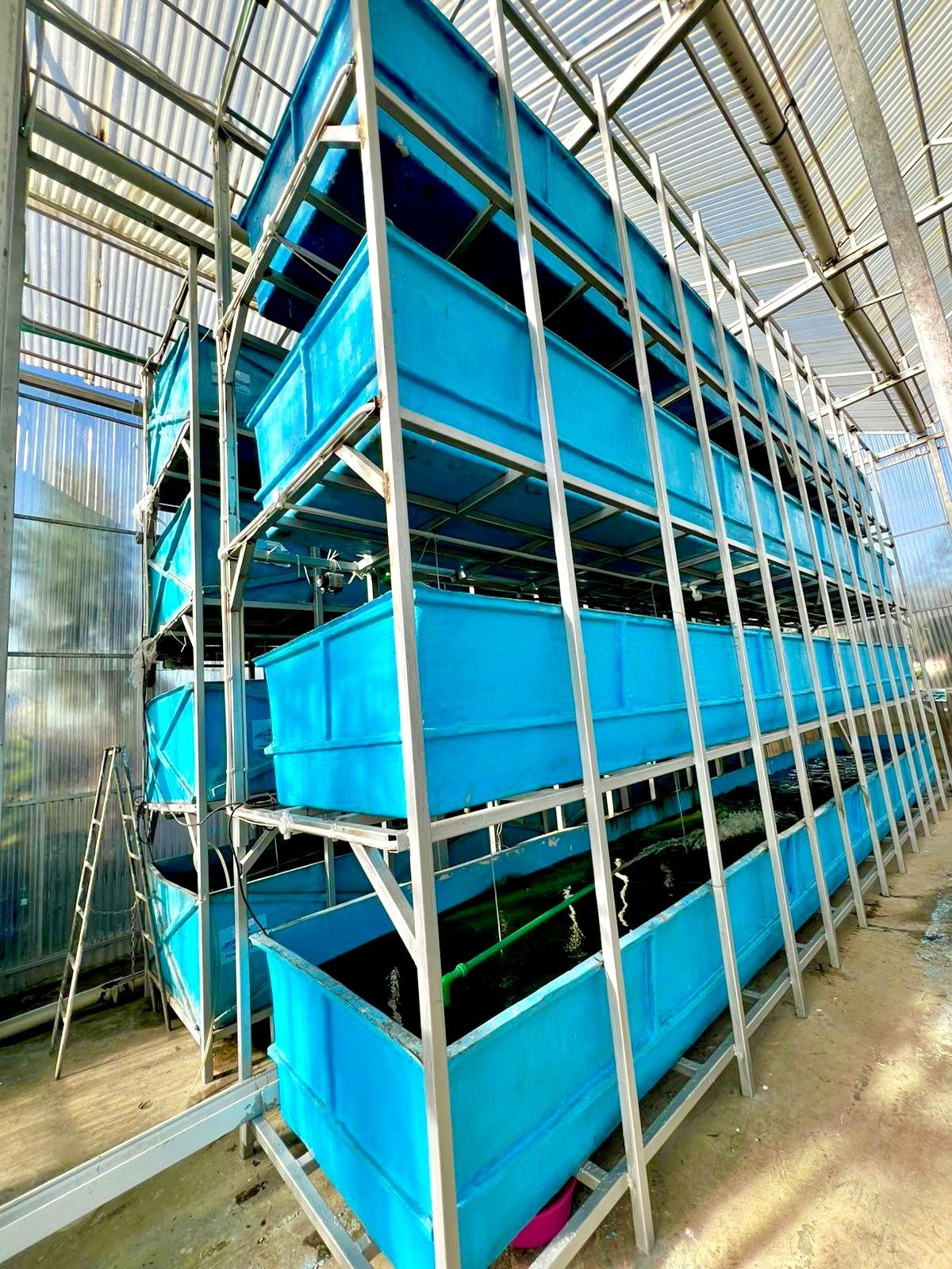 Vertical Aquaculture Architecture.