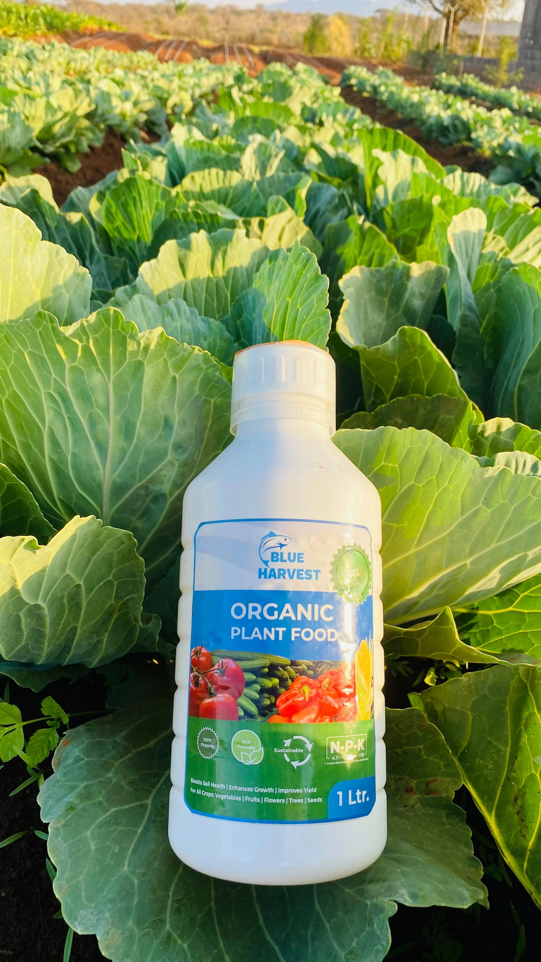 A bottle of Blue Harvest organic plant food placed on green leafy plants in a farm field.