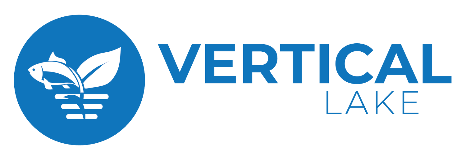 We are Vertical Lake 