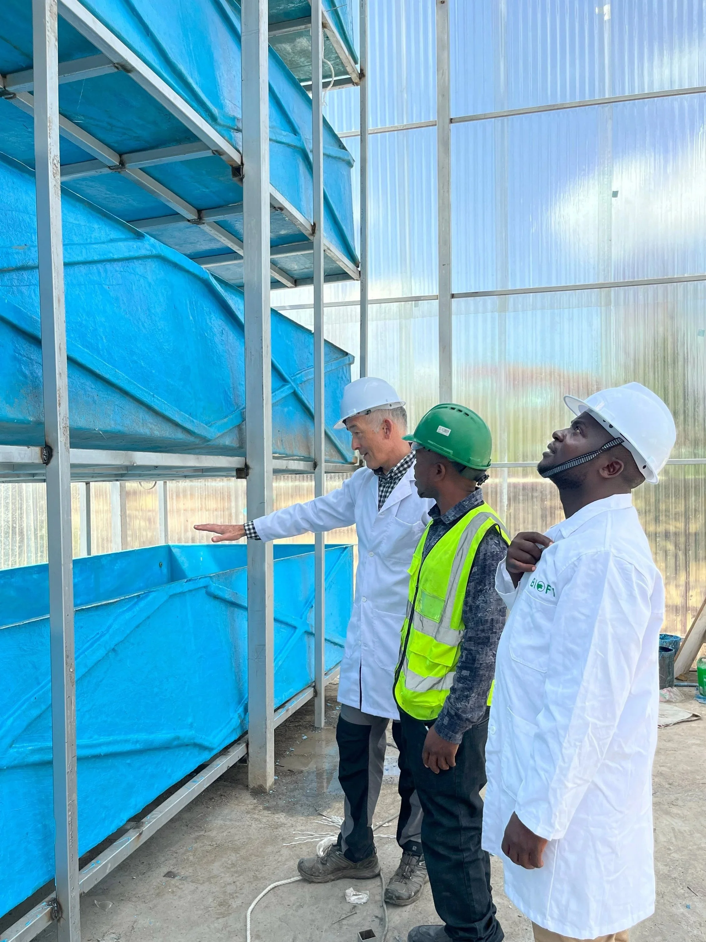 Three men wearing safety helmets and lab coats stand inside a greenhouse, inspecting large blue fabric-covered structures, with the man on the left pointing at them.