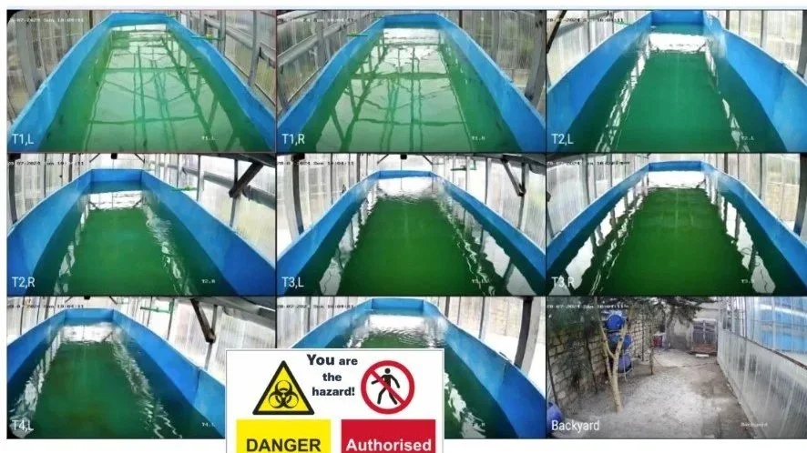 Panels showing different views of an indoor biofloc fish tank system with the label 'Backyard' in an outdoor area.