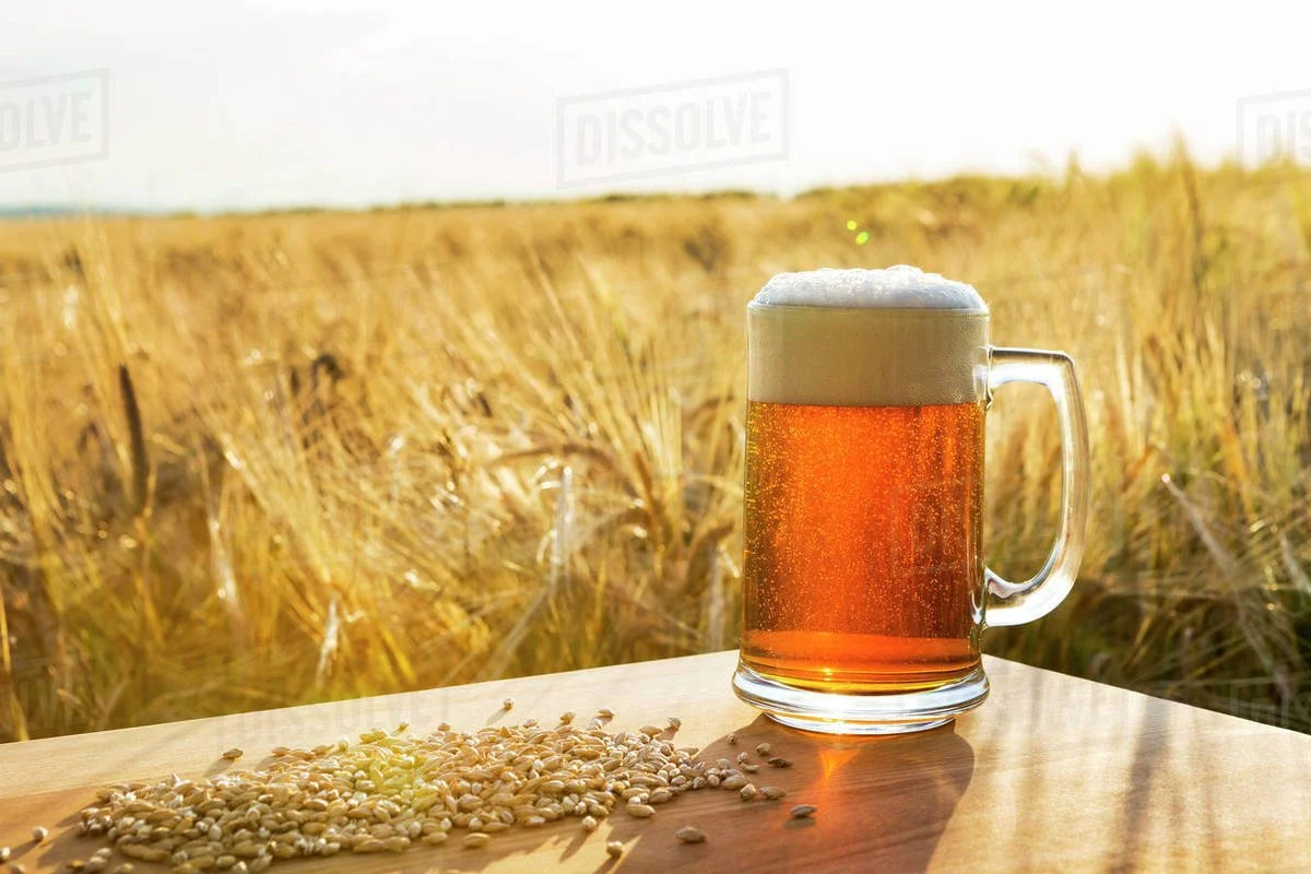 Breweries — Fermentation system design and ingredient-driven beer development.