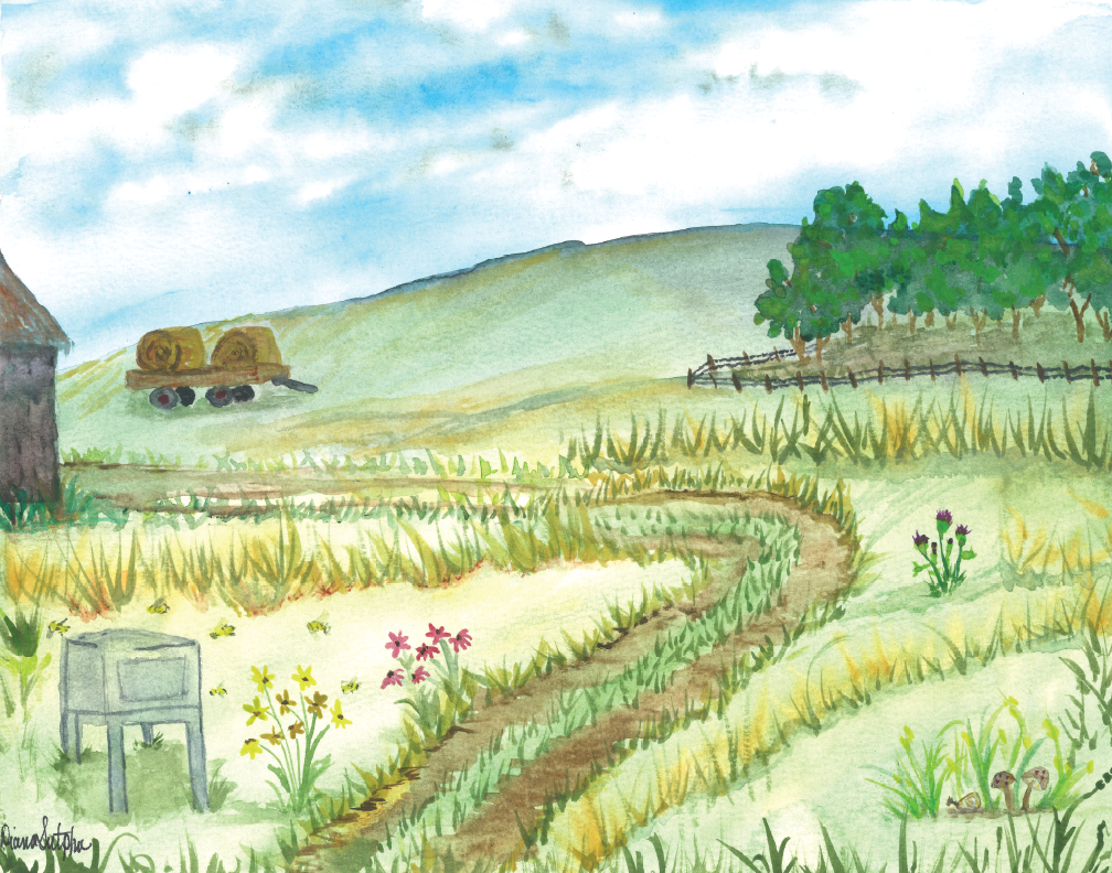 Old Wire Farm