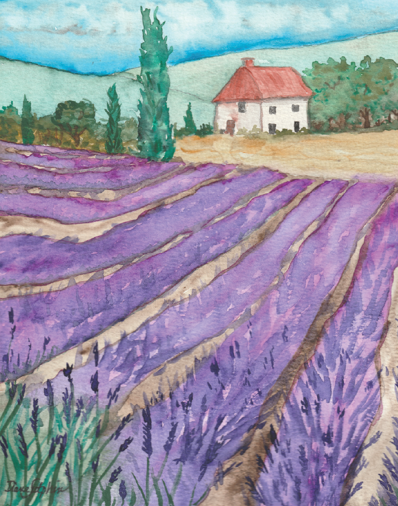 Lavender In Italy
