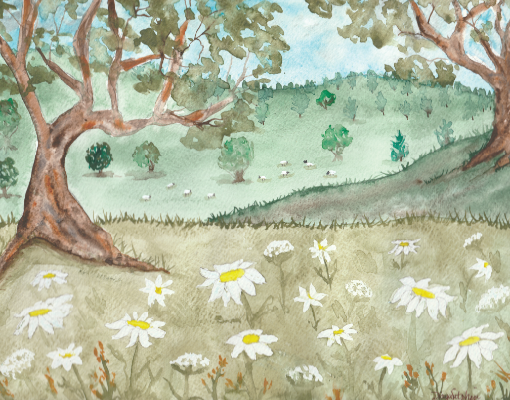 Meadow View