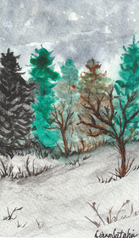 Winter Walk