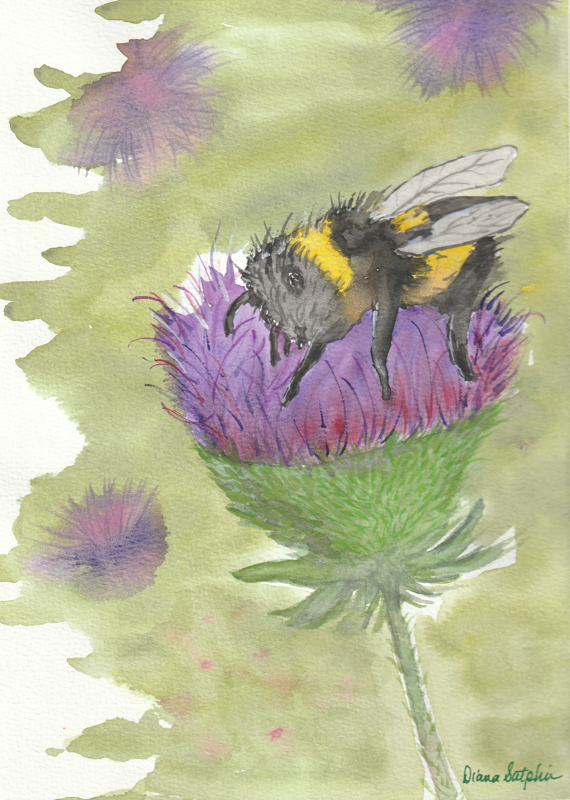 Bumblebee Thistle