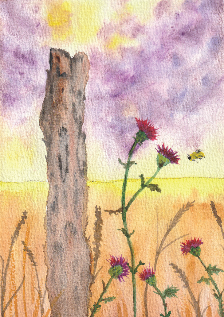 Forgotten Fence Post