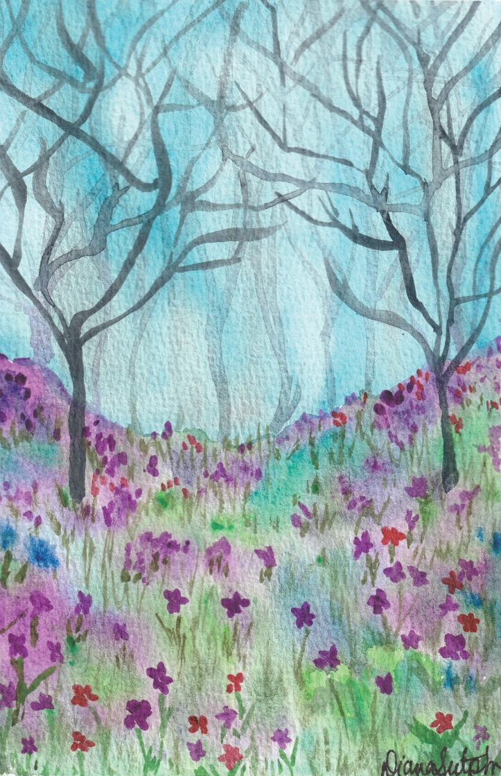 Fairy Forest