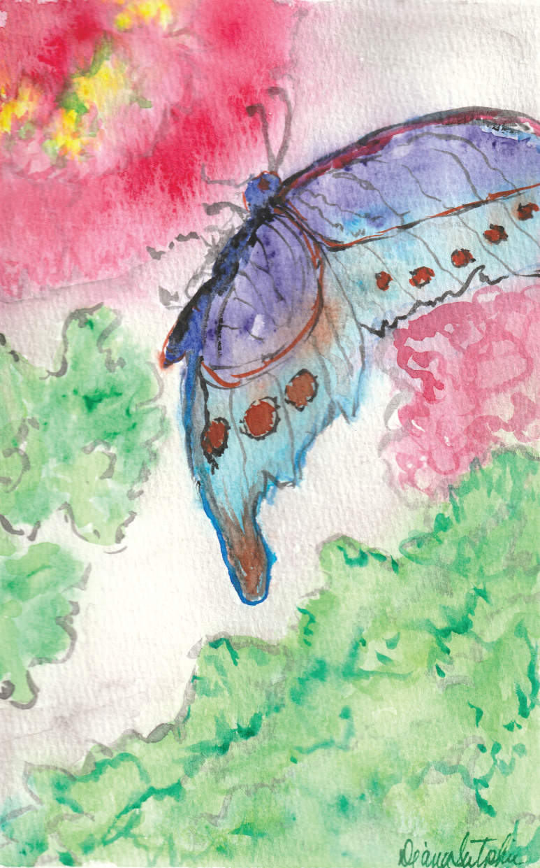 Butterfly Nap