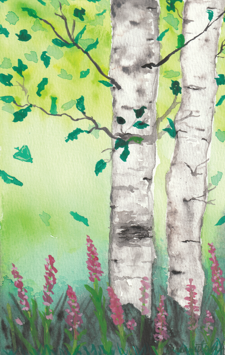 Spring Birch Trees