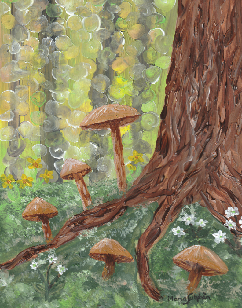 Forest Mushrooms