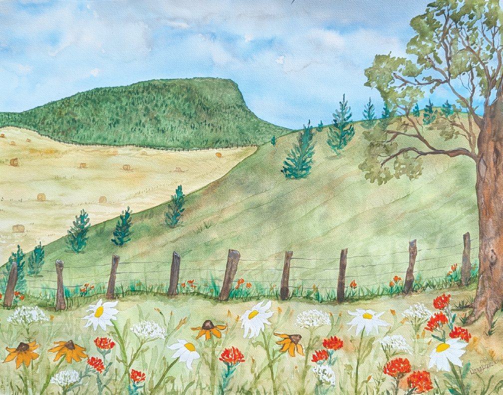 Picking Wildflowers At Buffalo Mountain