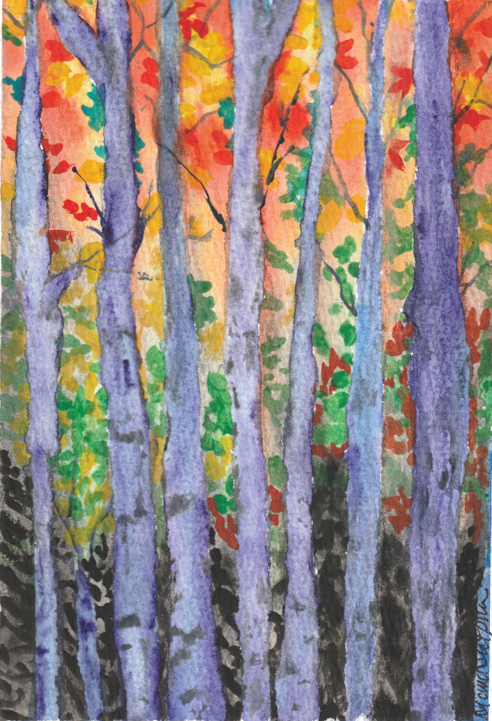 Orange Glow Grove