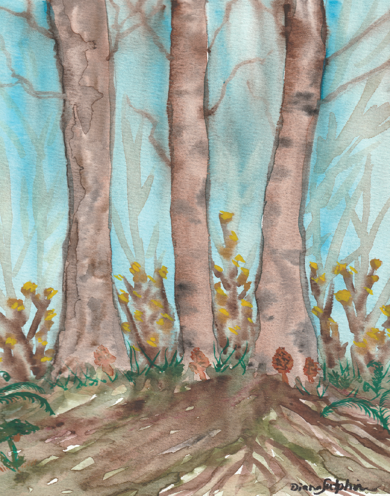 Mossy Woods.png