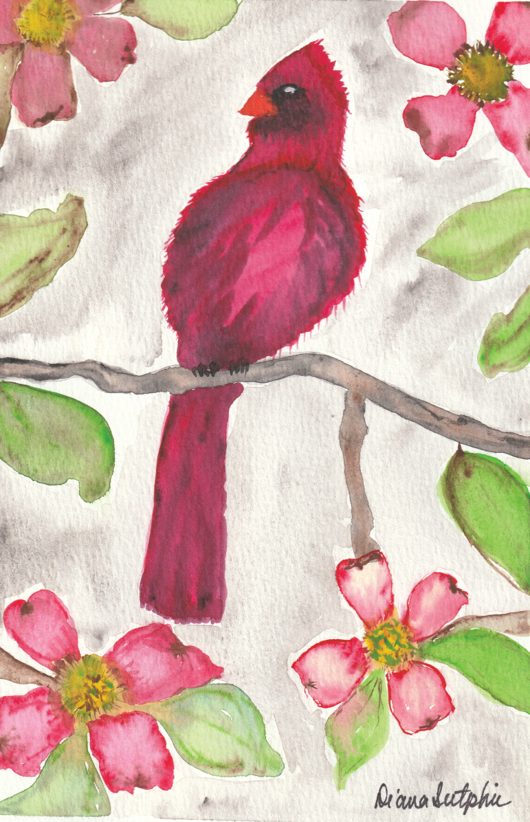 Dogwood Cardinal