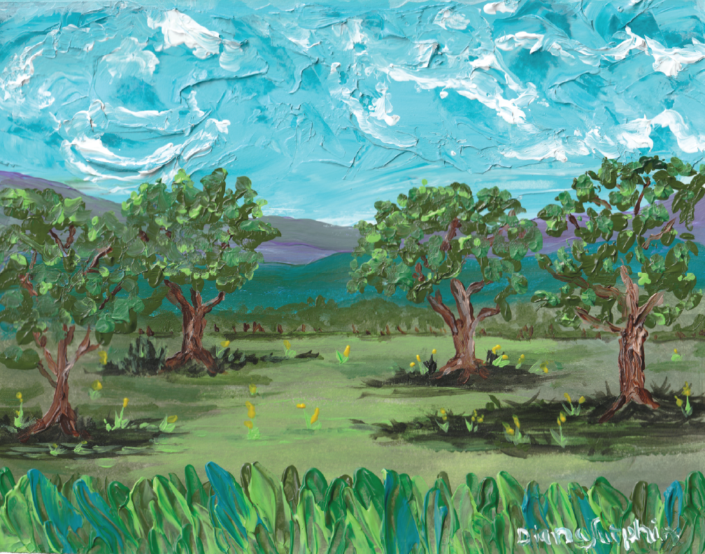 Field In The Mountains
