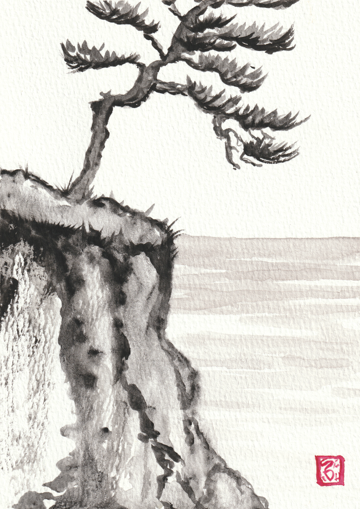 Droopy Pine