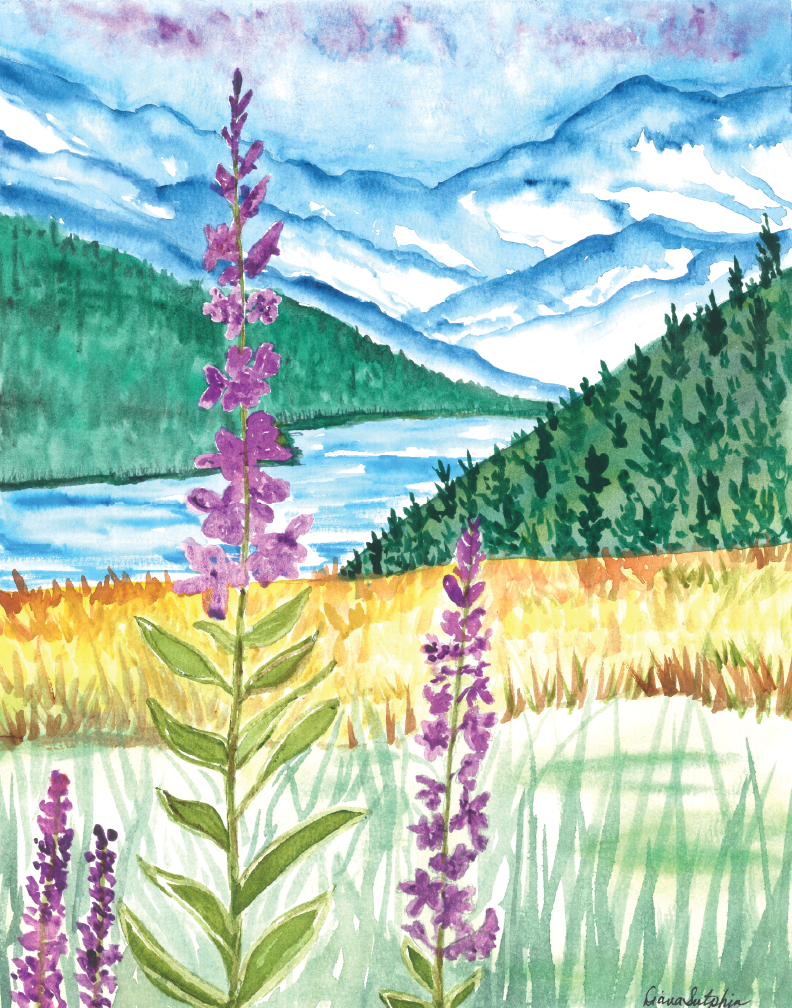 Majestic Alaskan Mountains