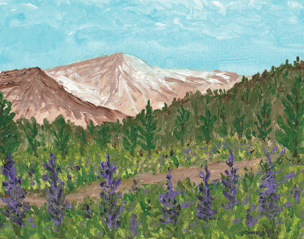 Lupine Valley