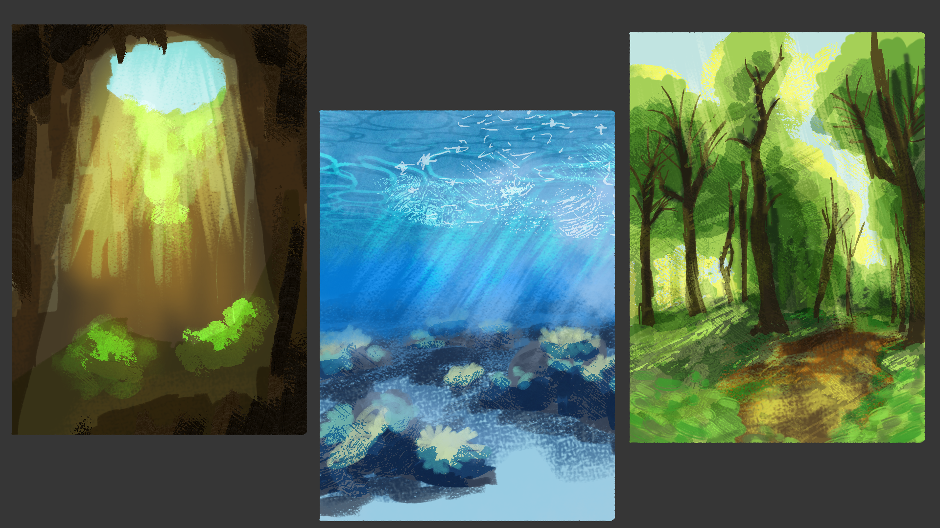 environment practice 2.png