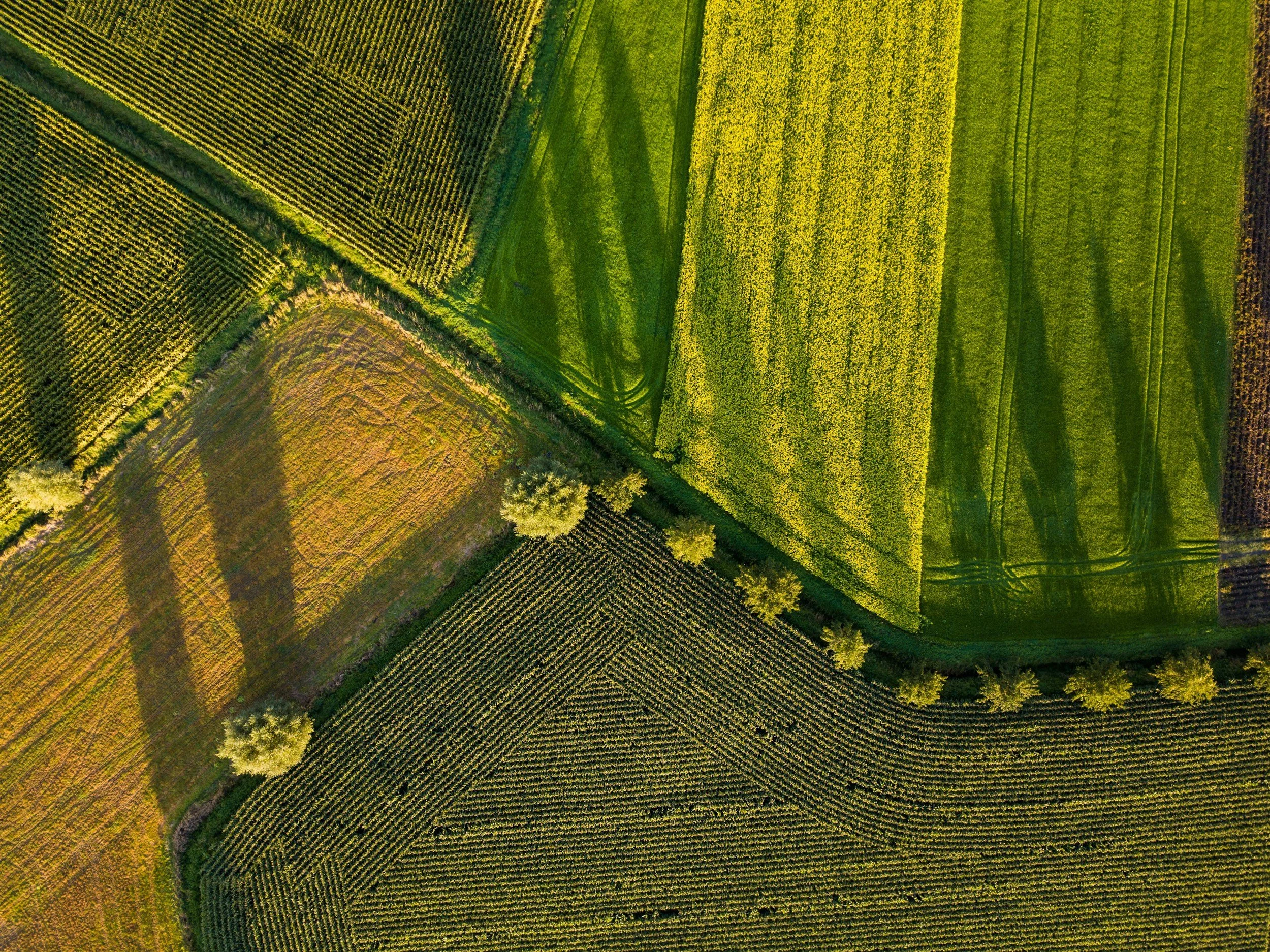 Sense of Place