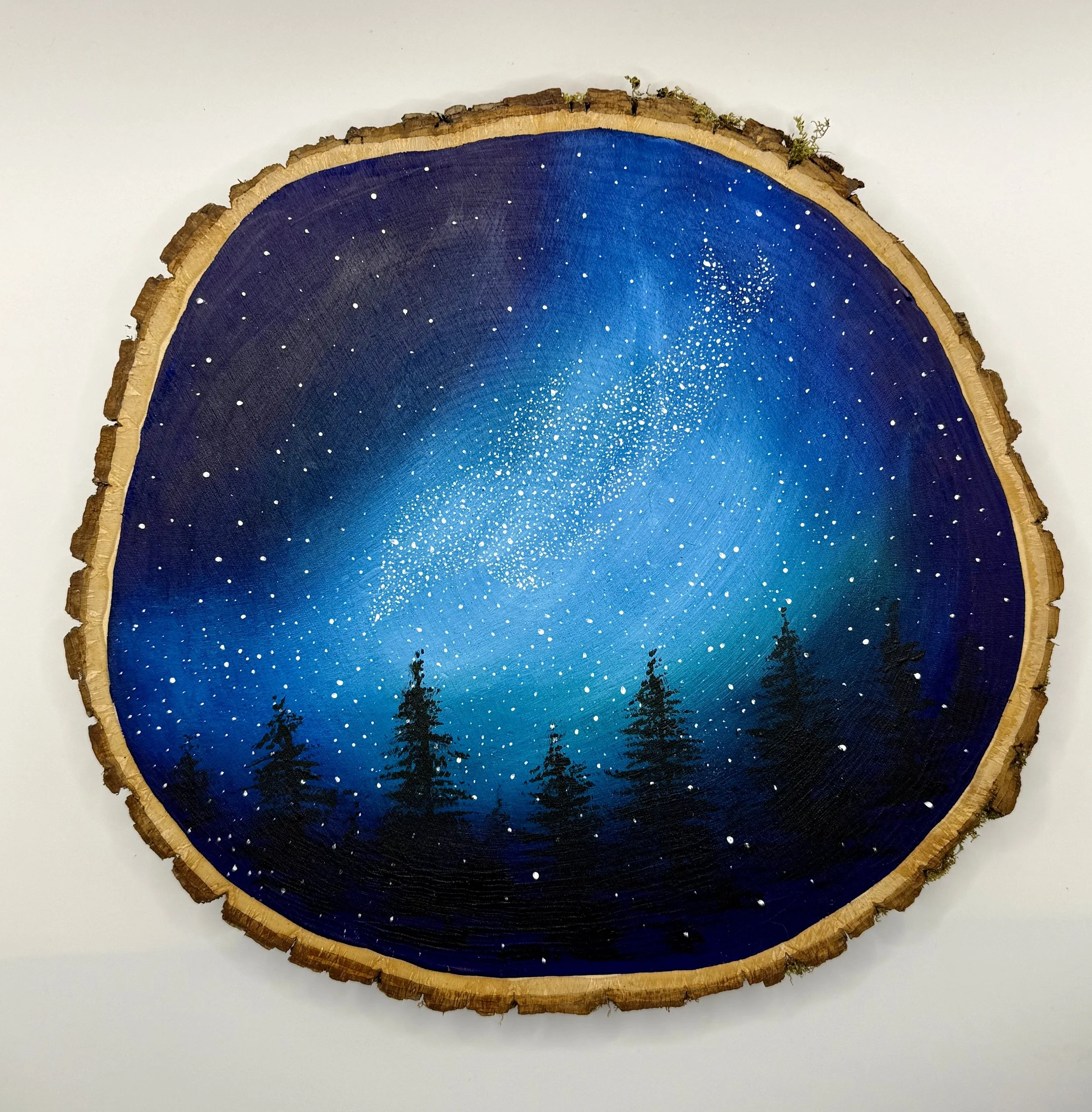DOLPHIN IN THE STARS / Acrylic on Wood / 12x12" / Large Commissions $225