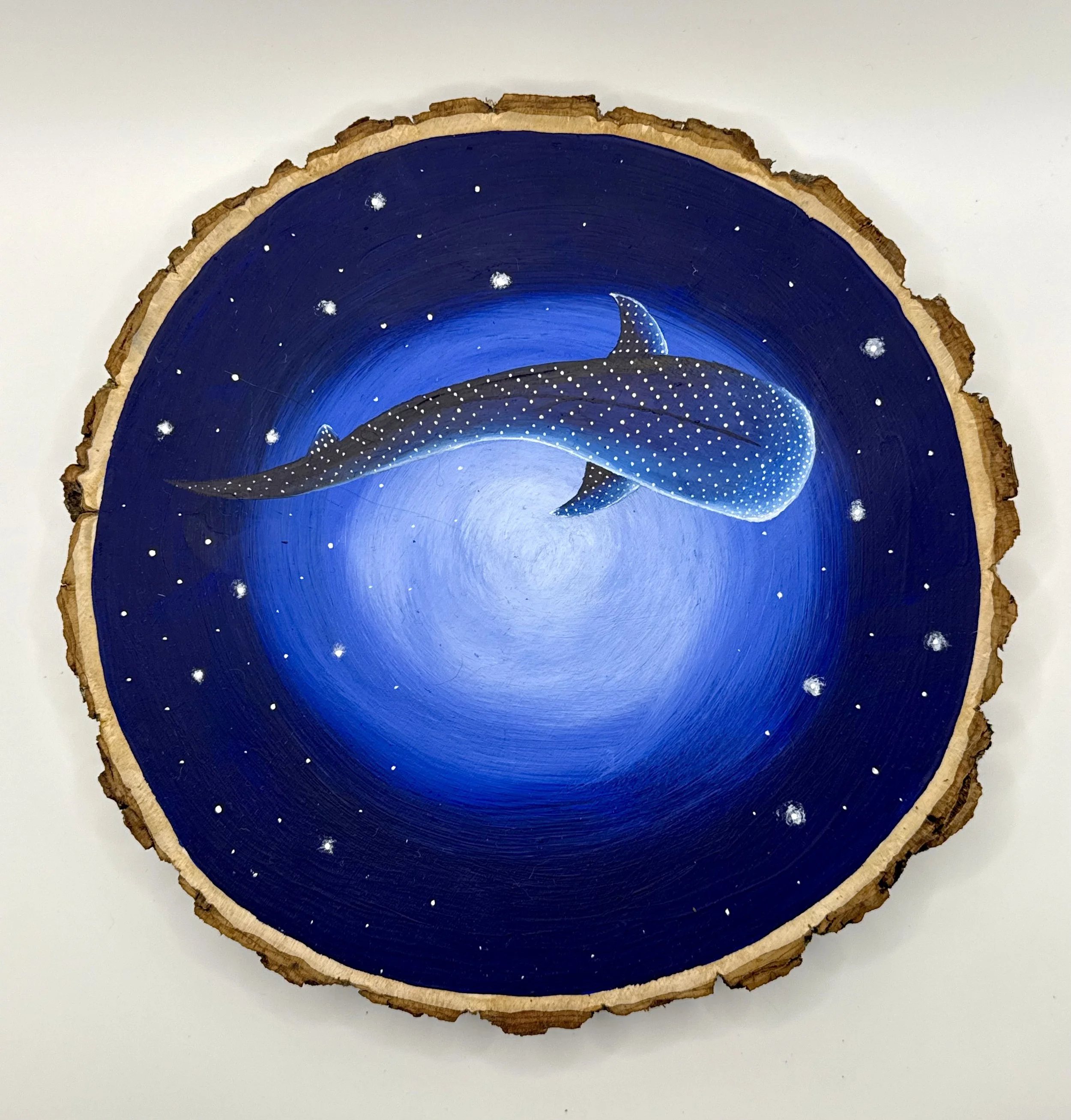 Whale Shark Among the Stars_Moser-Hardy.jpeg