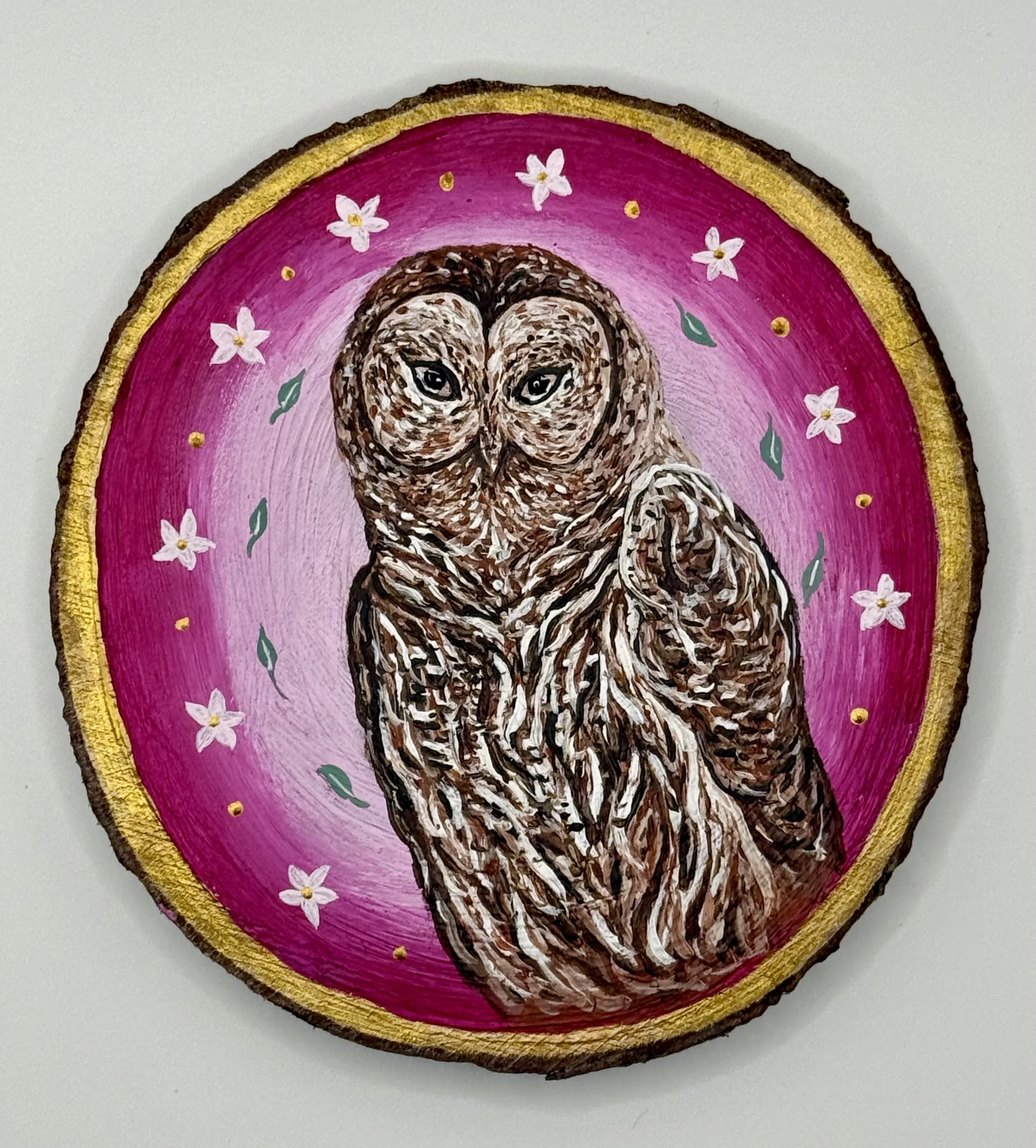 Barn Owl Painting on Wood by Fiadhnait Moser
