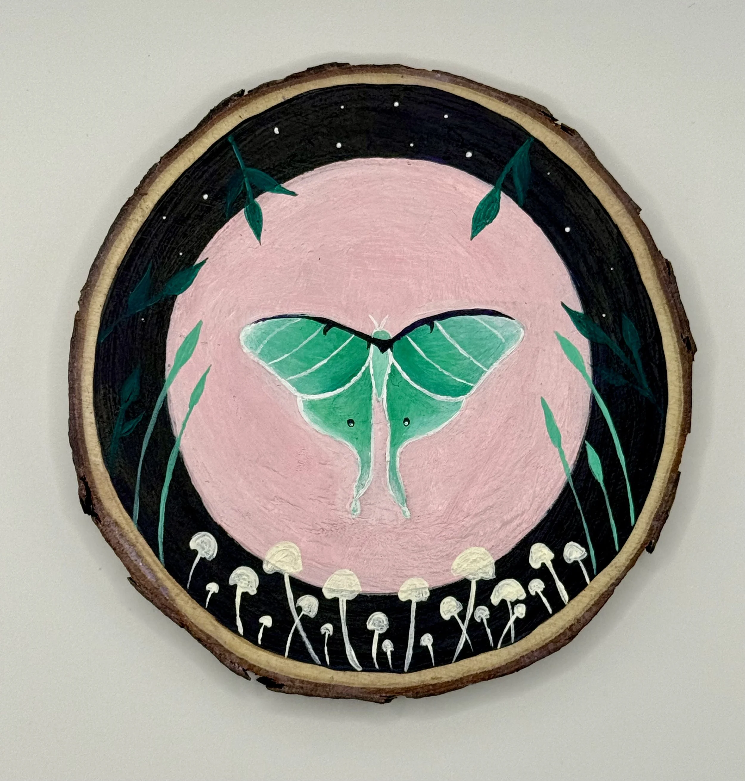 Acrylic Painting on Wood by Fiadhnait Moser: Moth and Moon (Nature Art, Rustic Art, Whimsical Art)