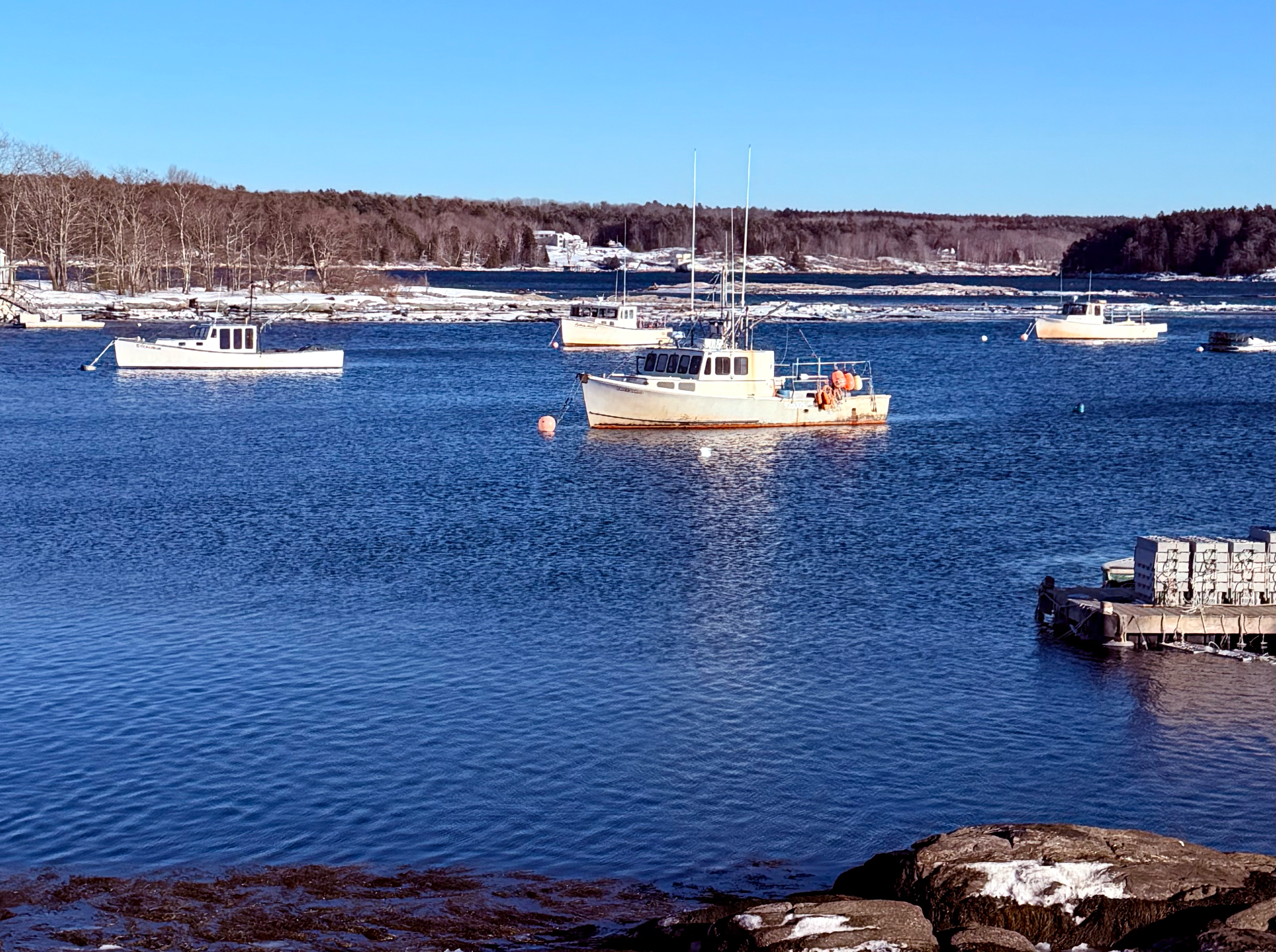 Coastal Maine: deep blue water, moored lobster boats, and a rocky island in the background on a clear, brisk day.