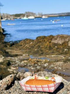Small lobster roll in a red and white paper tray on a rock on the coast of Maine at low tide