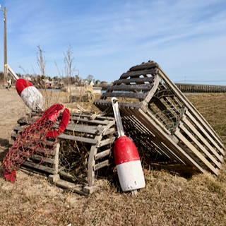 Weathered wooden antique lobster traps and buoys on the Maine shore in a grassy field and a fence in the background.