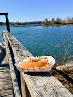 Small lobster roll in a red and white paper tray on a dock on the coast of Maine