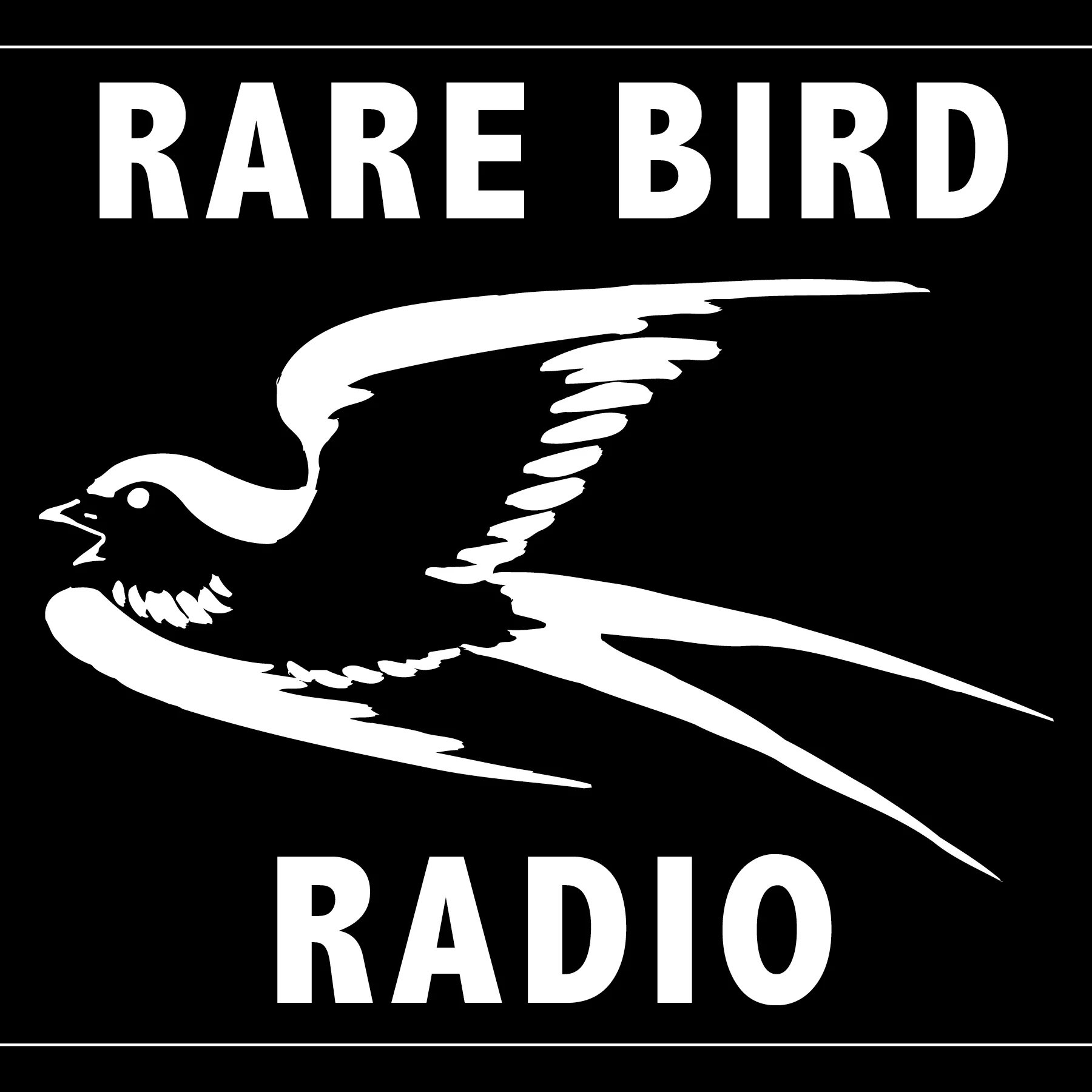 rare-bird-radio-logo.jpg