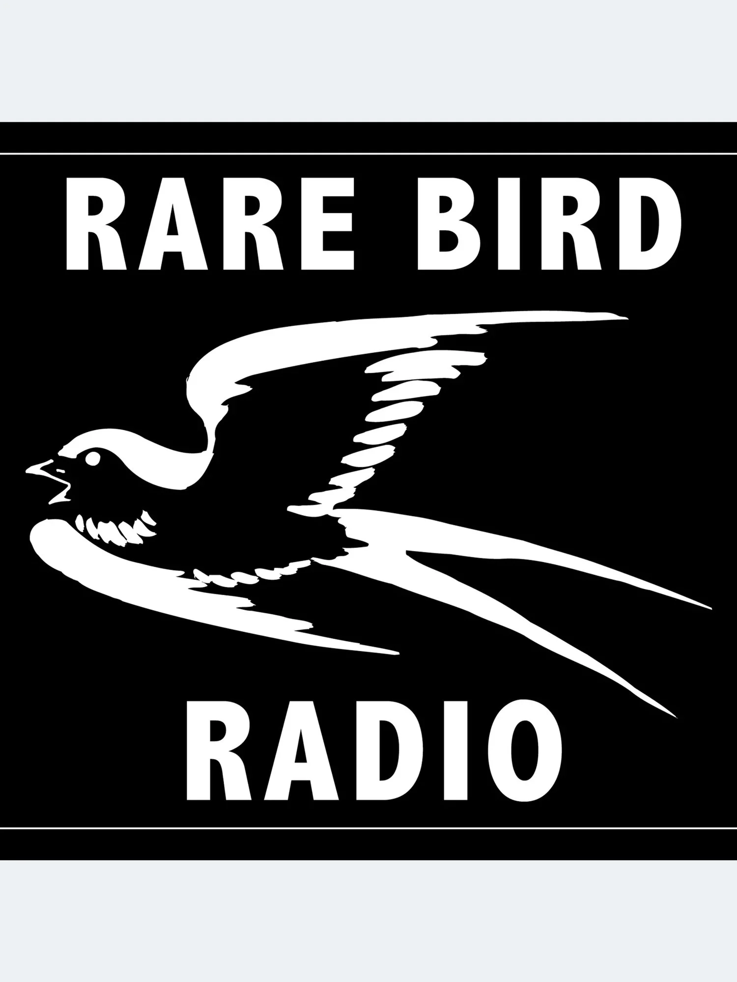  Rare Bird Radio | Karen Stefano In Conversation With Liz Scott Aug 30 2019 