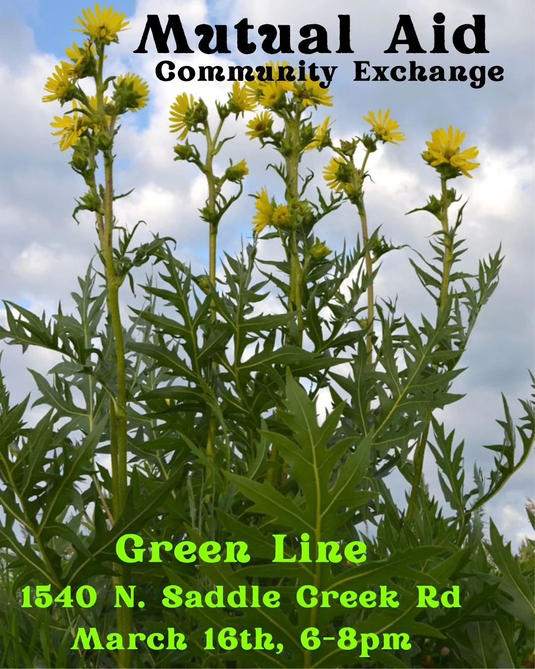 Mutual Aid Community Exchange (MACE)