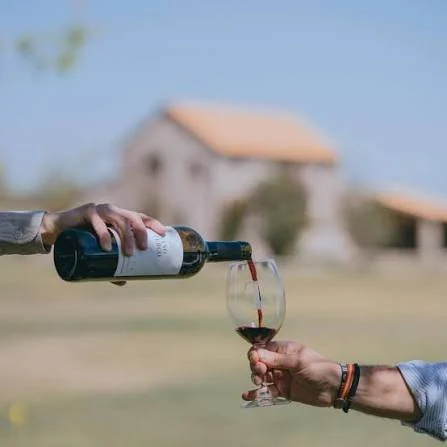 Viñedo La Terquedad