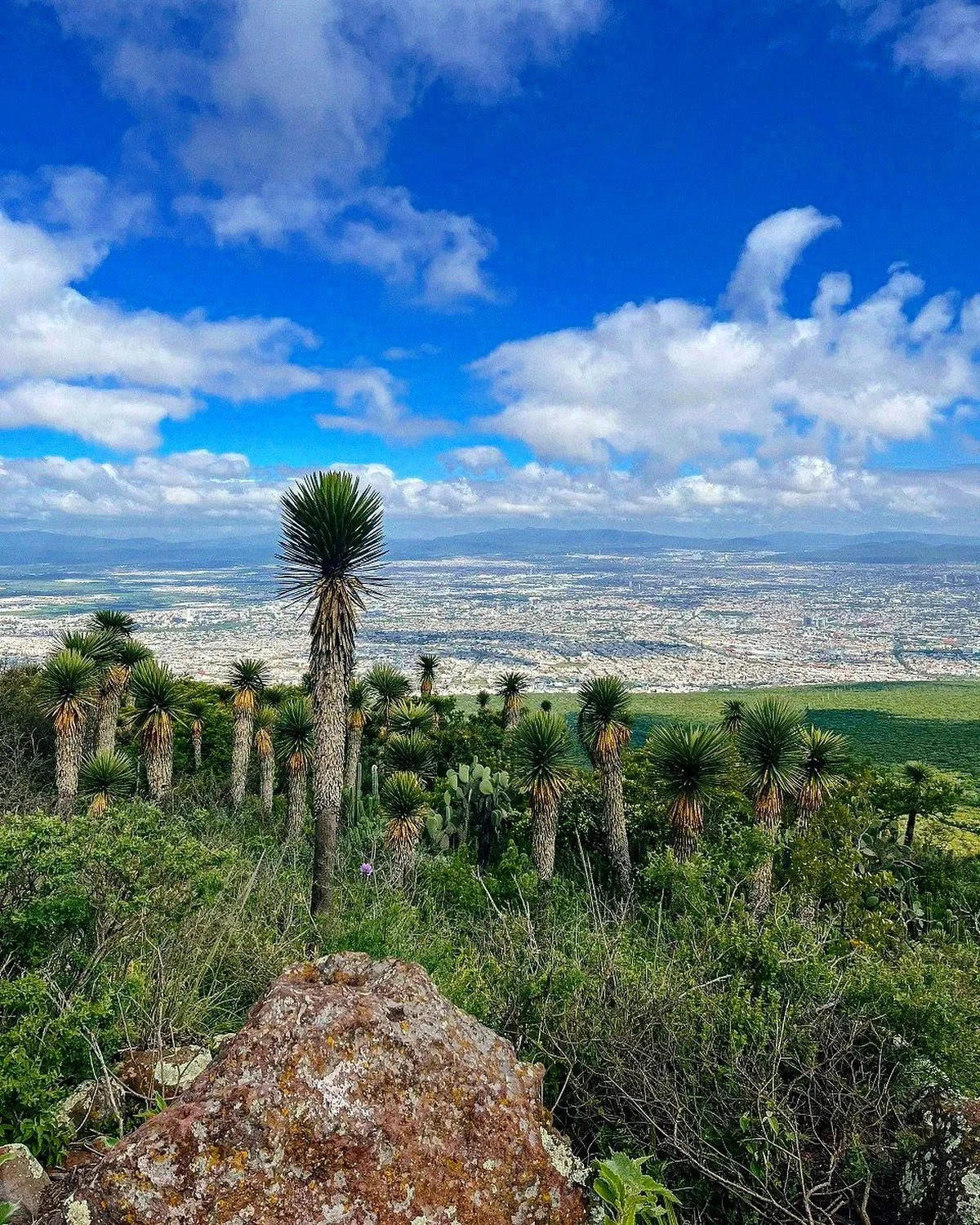 Parque Nacional el Cimatario