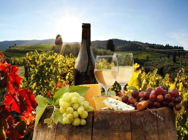 Ruta del Queso y el Vino