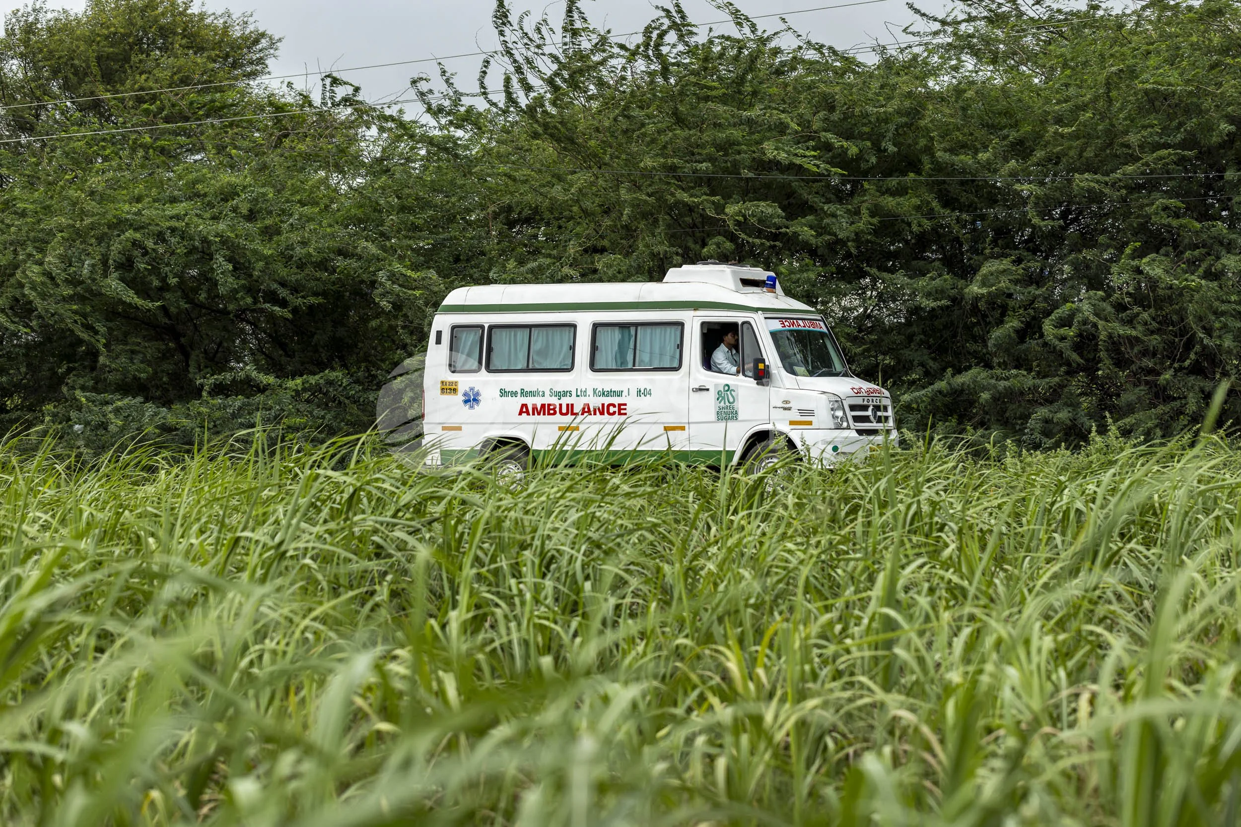 151_APOORVA KARNATAKA 16-07-2024 - 2451_240716.jpg