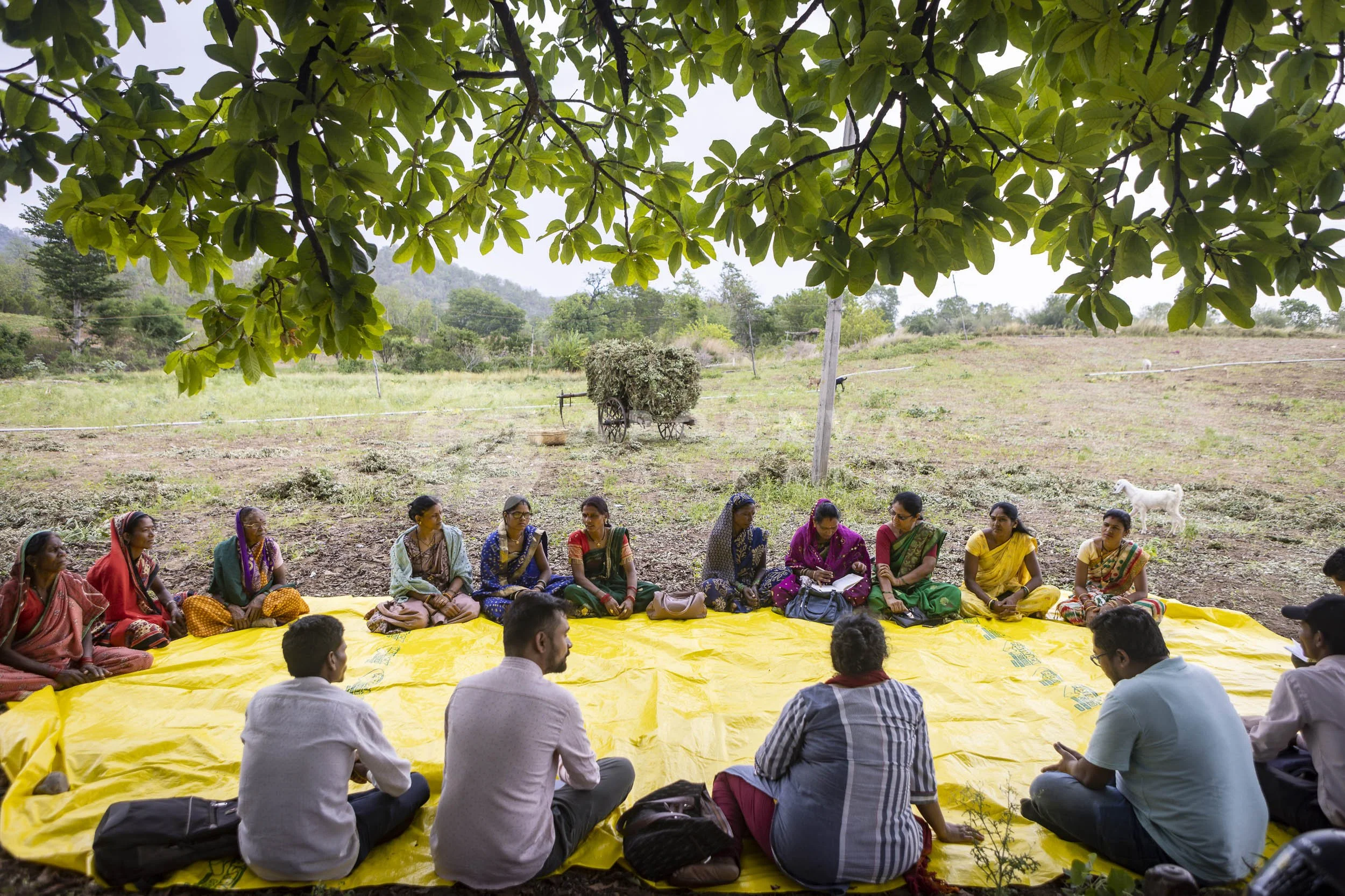 068_Sausar Day 2 - 024_230603.jpg