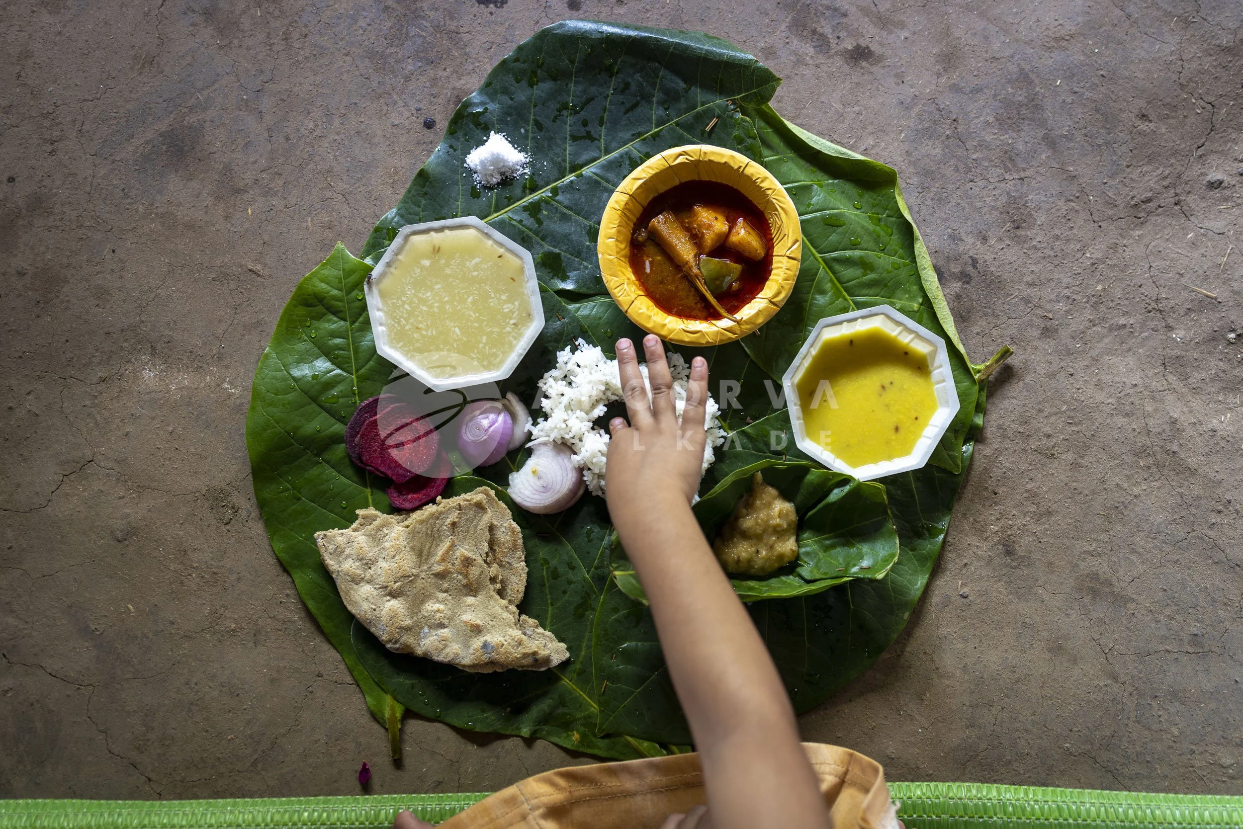 066_Sausar Day 2 - 014_230603.jpg