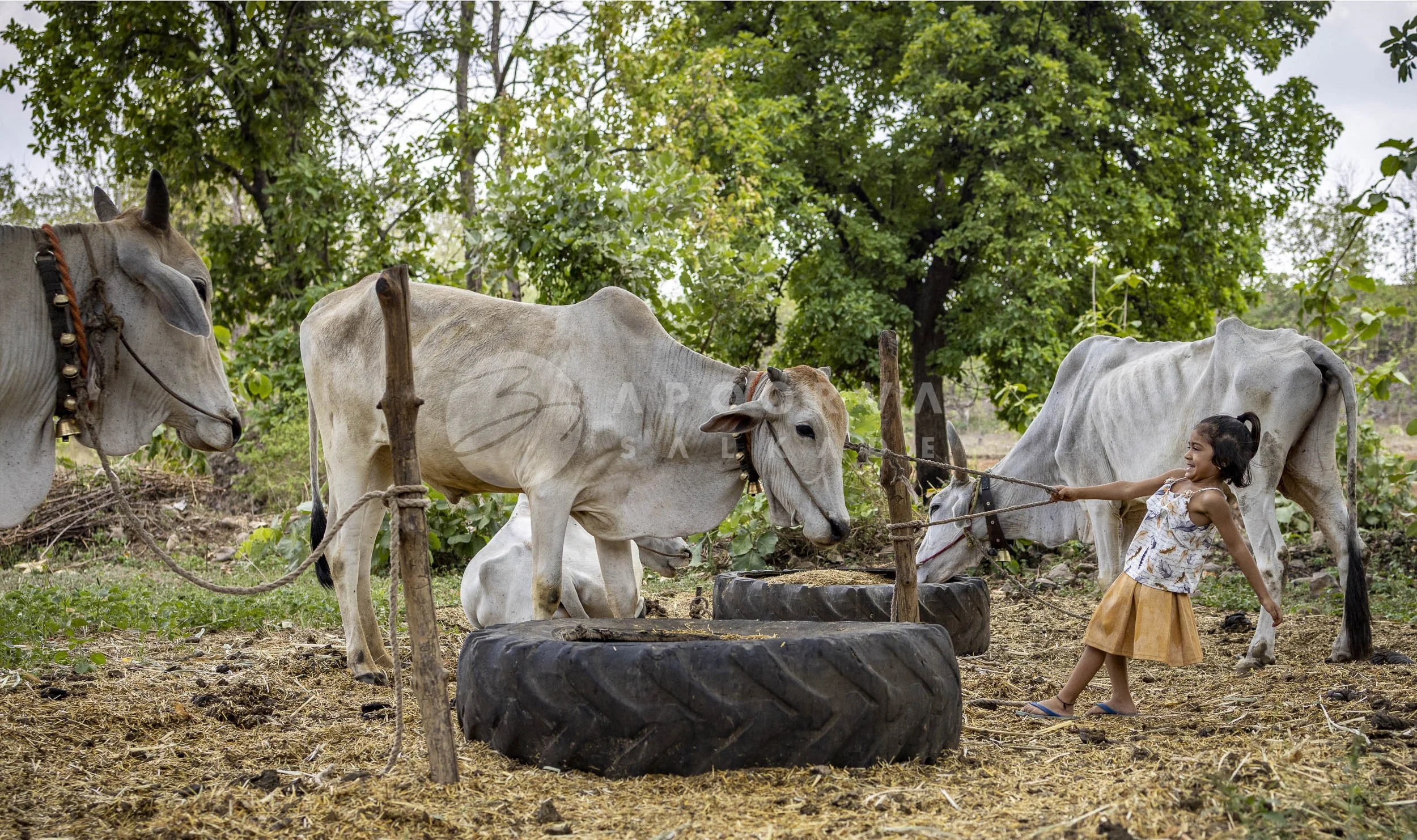 063__CR_5148 copy 1_230603.jpg