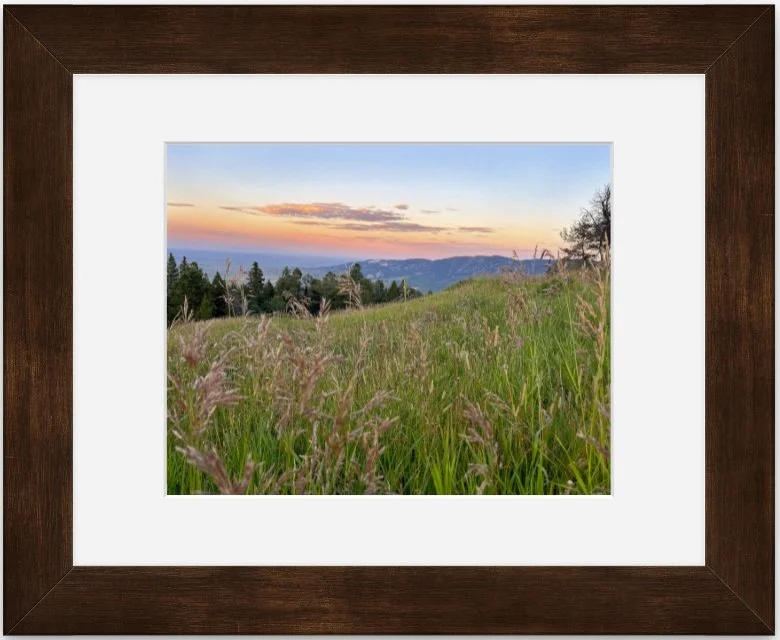 Peace 8x10 matted framed.jpg