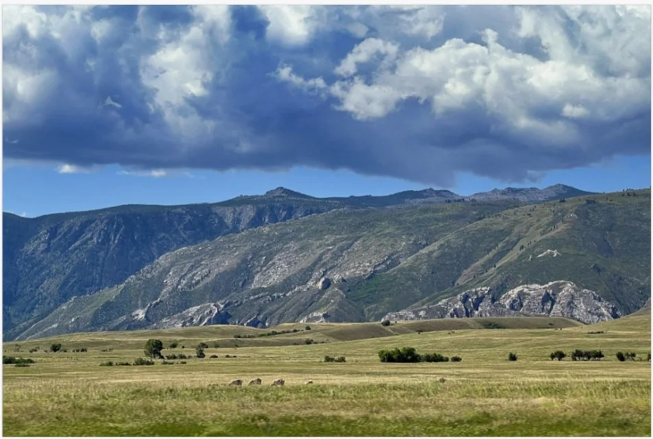 wide open spaces 8x12.jpg