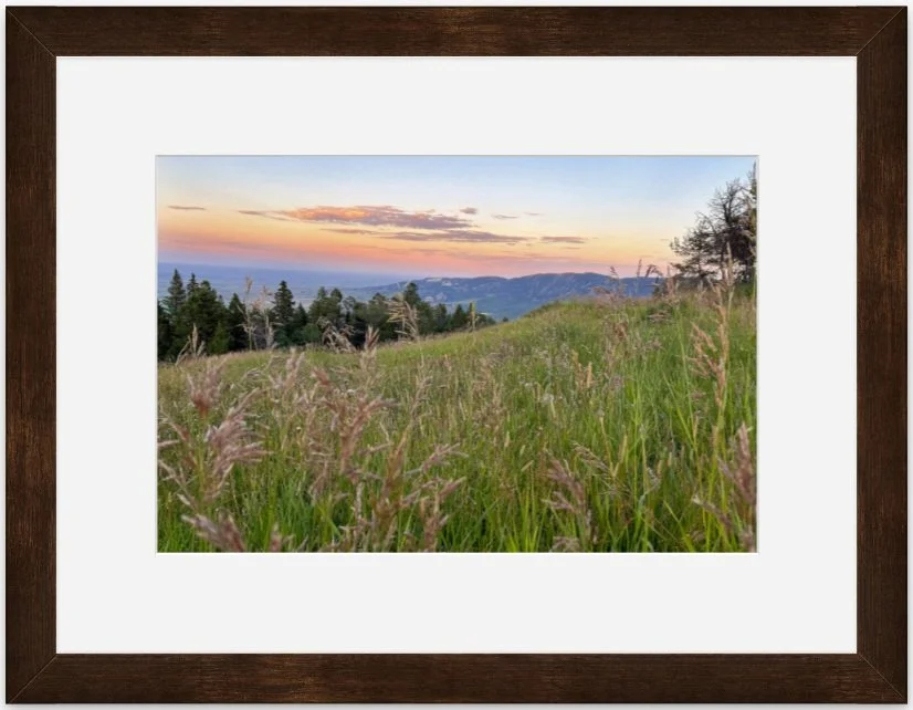 Peace 8x12 matted framed.jpg